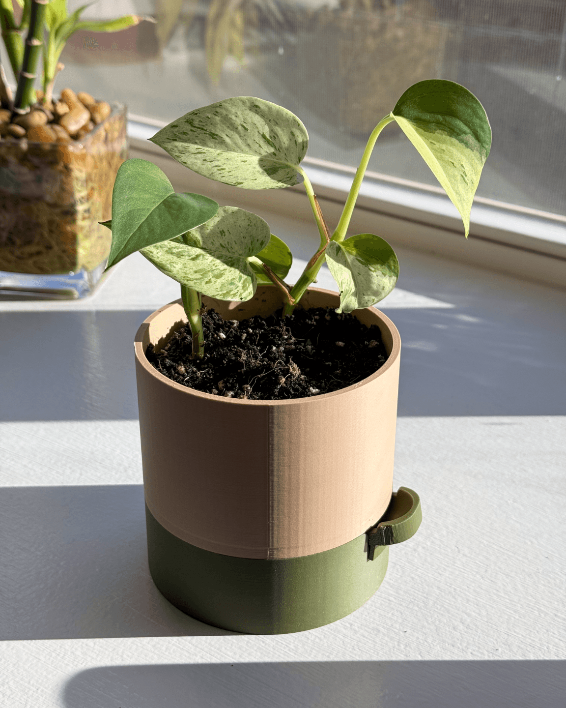 Cache-pot Auto-arrosant Rond