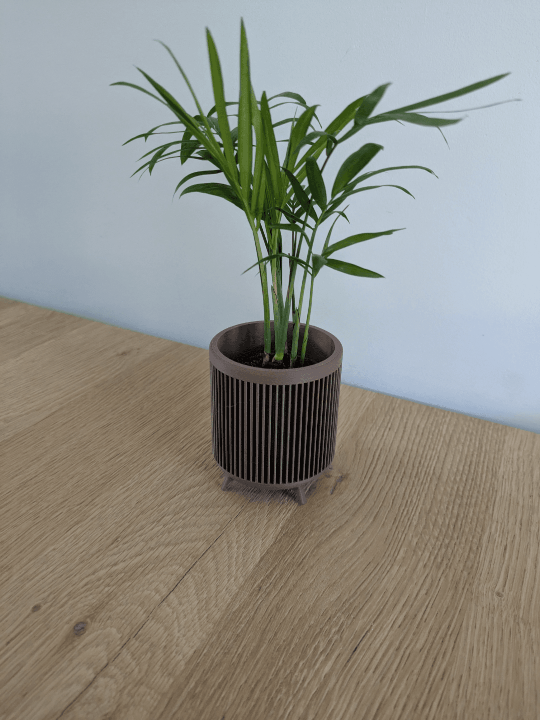 Cache-pot Midcentury