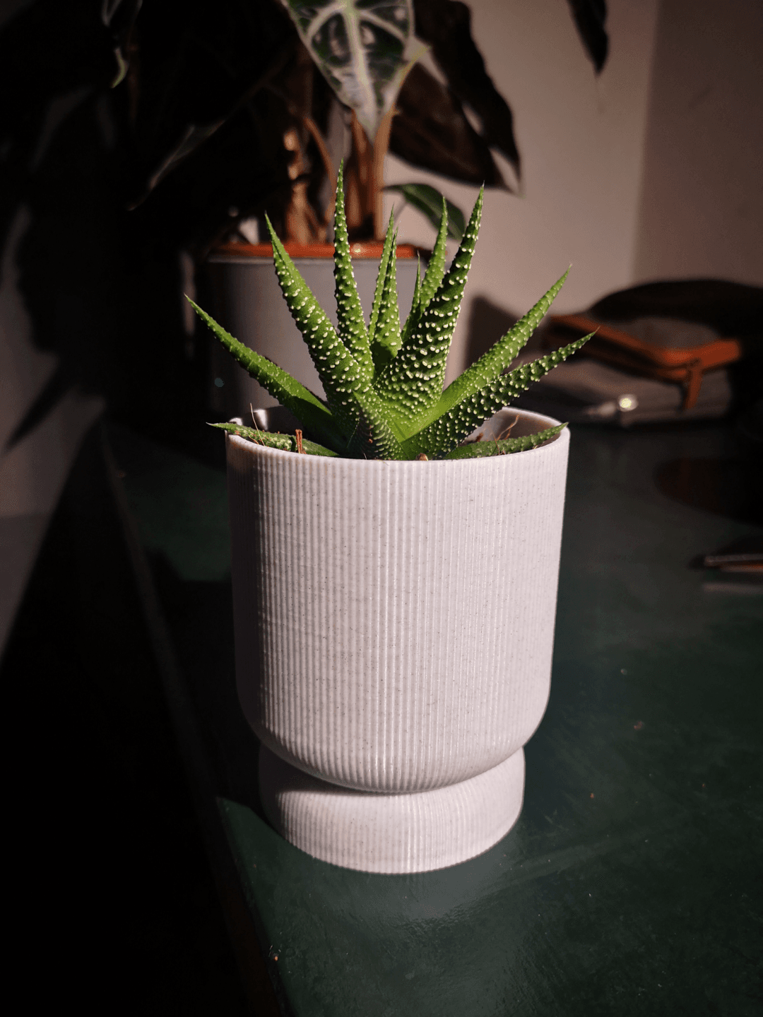 Cache-pot avec Soucoupe Clipsable