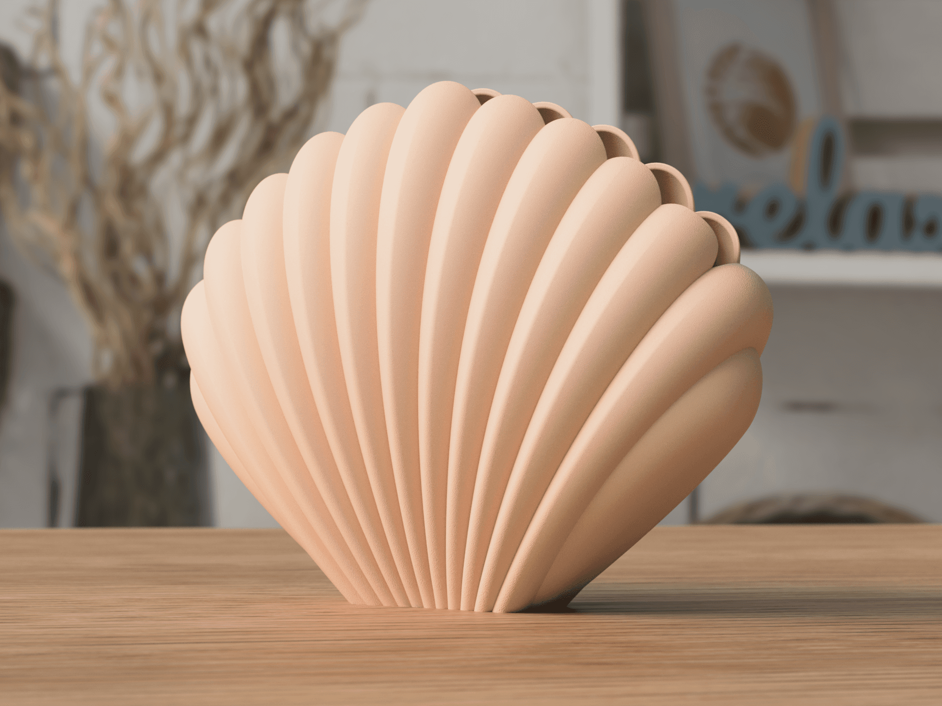 Vase Coquillage