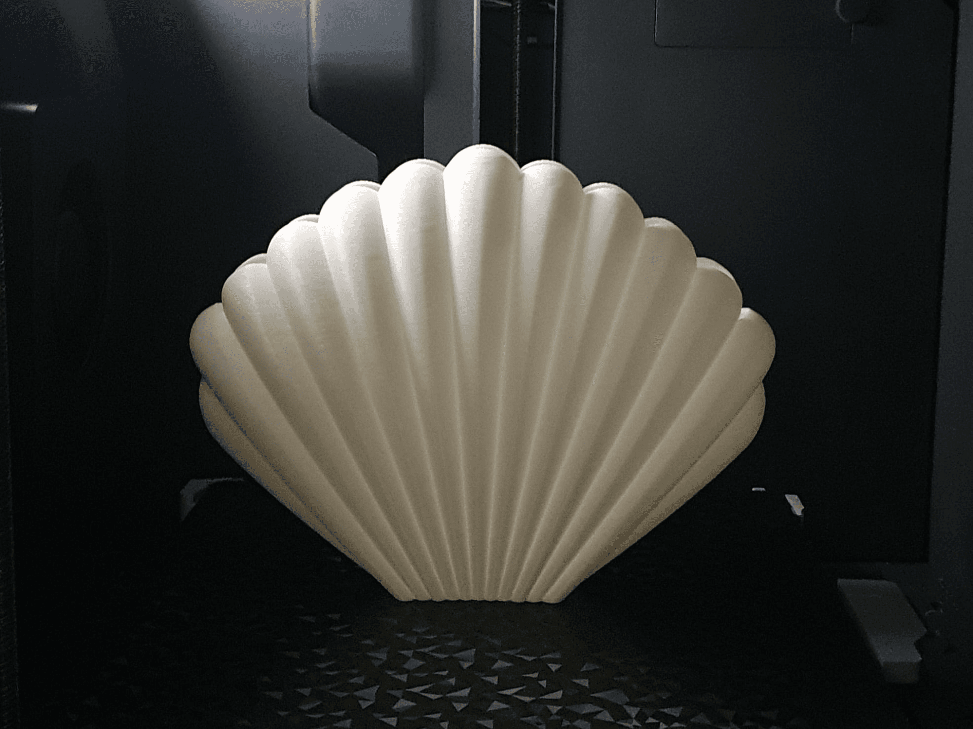 Vase Coquillage