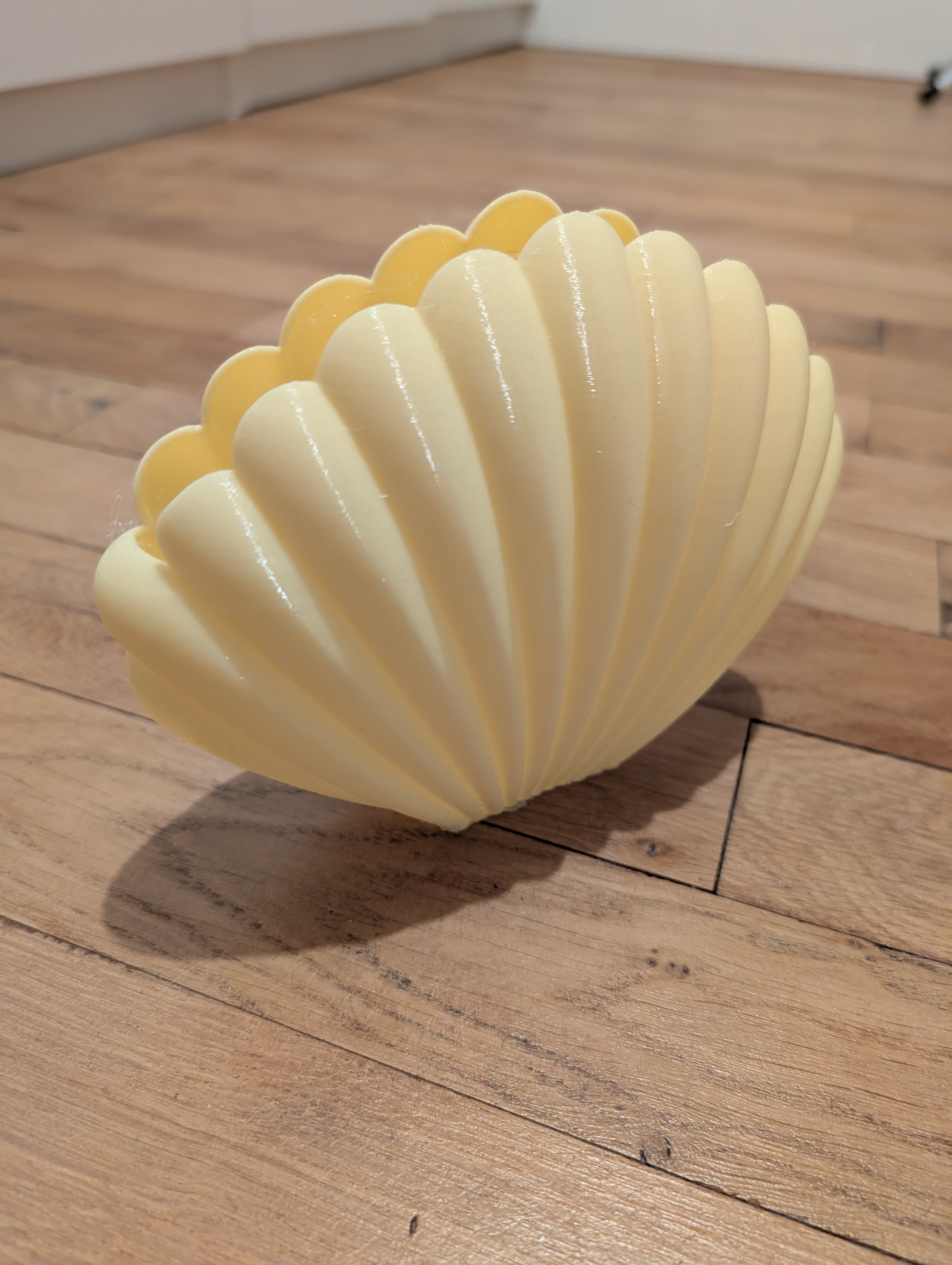 Vase Coquillage