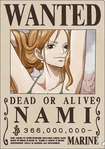 Avis de recherche — Nami